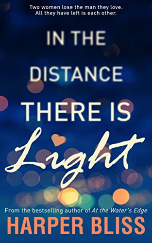In the Distance There Is Light book cover