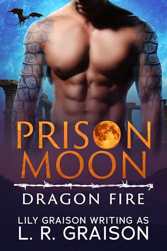 Dragon Fire book cover