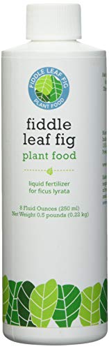 Fiddle Leaf Fig Plant Food – 3‑1‑2 Balanced NPK Liquid Fertilizer for Larger Leaves, Stronger Roots & Steady, Vibrant Growth | Suitable for All Ficus Including Ficus Lyrata | Made in USA | 8 oz