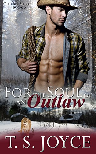 For The Soul Of An Outlaw book cover