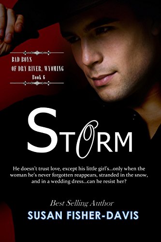 Storm book cover