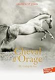 Cheval D'orage (tome 3)   Galop De Feu