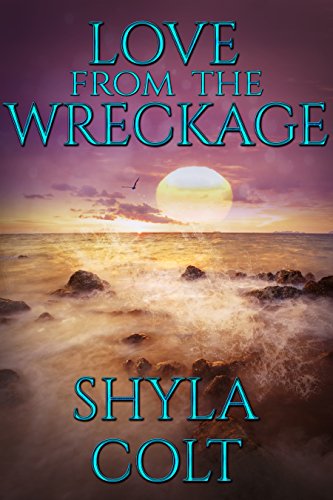 Love From The Wreckage book cover