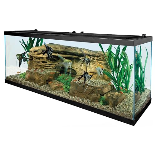 Tetra Aquarium - 55 Gallon Kit