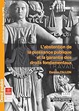 Labstention De La Puissance Publique Et La Garantie Des Droits Fondamentaux Thses De Lifr