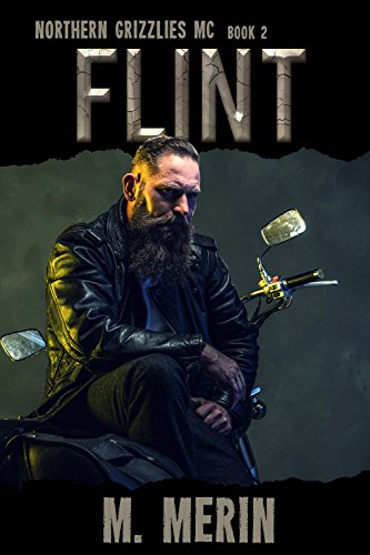 Flint book cover