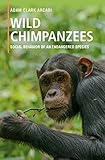 Wild Chimpanzees Social Behavior Of An Endangered Species