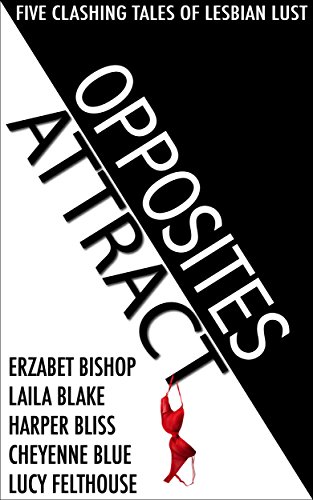 Opposites Attract book cover