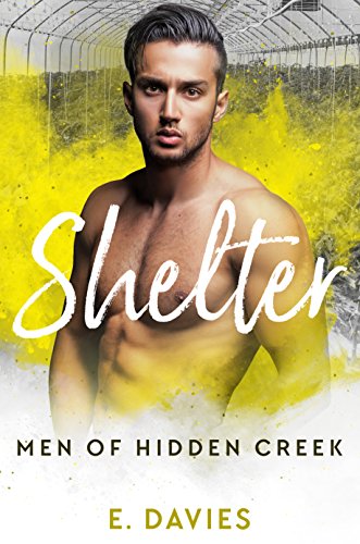 Shelter book cover