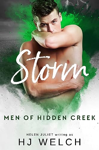 Storm book cover