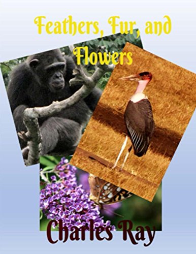 Feathers, Fur, and Flowers book cover