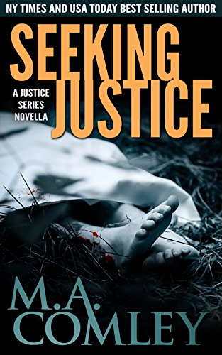 Seeking Justice cover