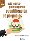 Gua Tericoprctica Para La Cuantificacin De Perjuicios Spanish Edition