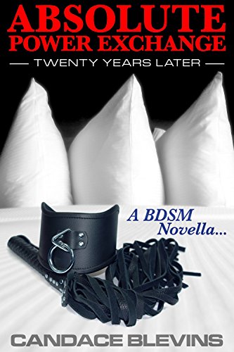 Absolute Power Exchange – Twenty Years Later book cover