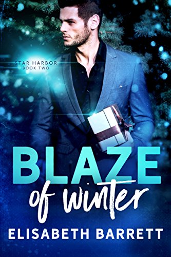Blaze of Winter book cover
