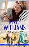 Two Of A Kind An Enemies To Lovers Contemporary Romance The Sisters Quartet Book 2 English Edition