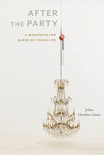 After the Party book cover