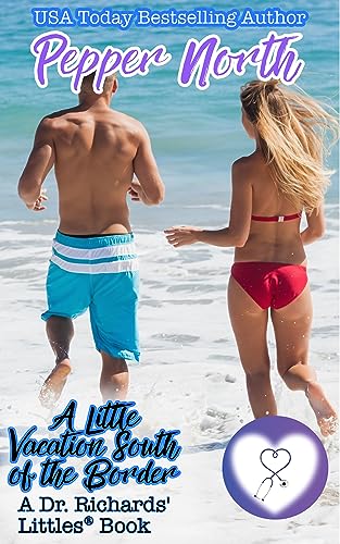 A Little Vacation South of the Border book cover