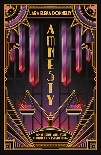Amnesty book cover