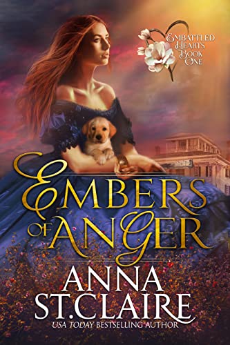 Embers of Anger book cover