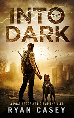 Into the Dark book cover