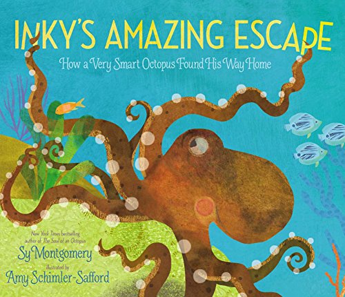 Inky's Amazing Escape: How a Very Smart Octopus Found His Way Home book cover