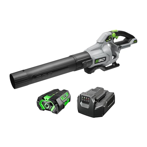 EGO LB5804