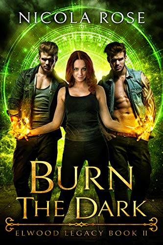 Burn the Dark book cover
