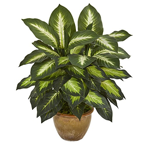 Nearly Natural Artificial Dieffenbachia Plant Faux Greenery in Ceramic Planter for Indoor Home DecorNearly Natural Arti