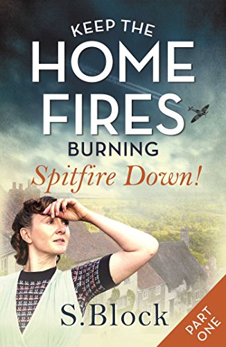 Spitfire Down! book cover