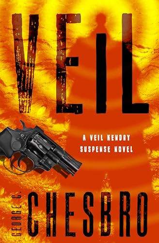 Veil book cover