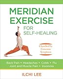 Meridian Exercise For Self Healing Classified By Common Symptoms English Edition