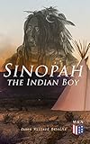 Sinopah The Indian Boy English Edition