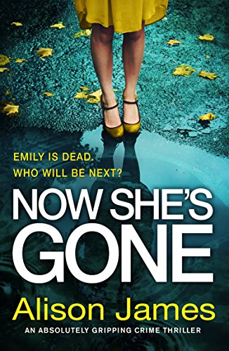 Now She's Gone book cover