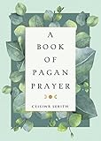 A Book Of Pagan Prayer English Edition