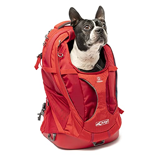 Best Dog Backpacks & Carriers for Hiking in 2026