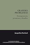 Transparencia: promesas y desafíos (Grandes problemas) (Spanish Edition)