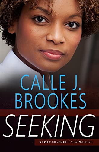 Seeking book cover