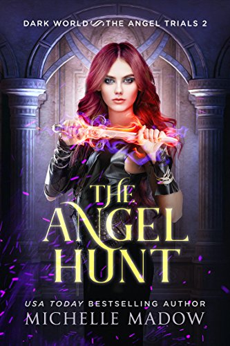 The Angel Hunt cover