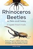 Rhinoceros Beetles As Pets And Hobby Complete Owners Guide Facts Lifespan Habitat Diet Care Breeding Larvae Where To Buy Hercules Beetle All Covered