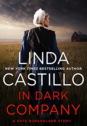 In Dark Company book cover