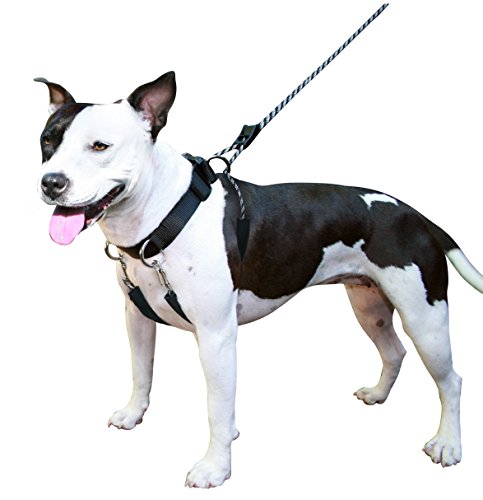 sporn no pull harness