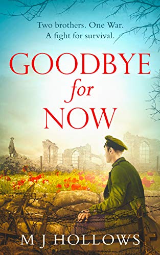 Goodbye for Now book cover