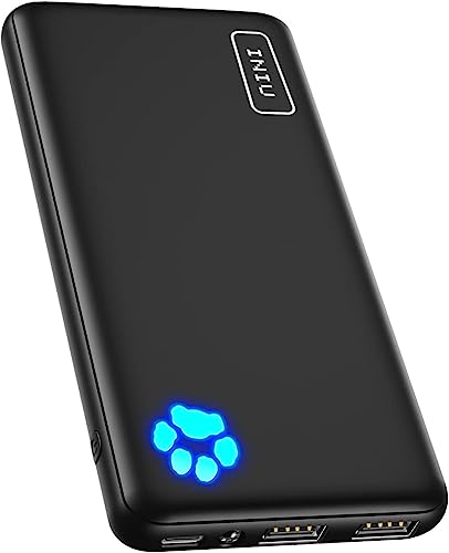 Iniu 10,000-mAh Power Bank Budget Friendly