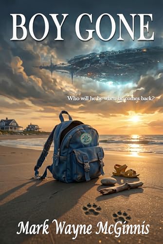 Boy Gone book cover
