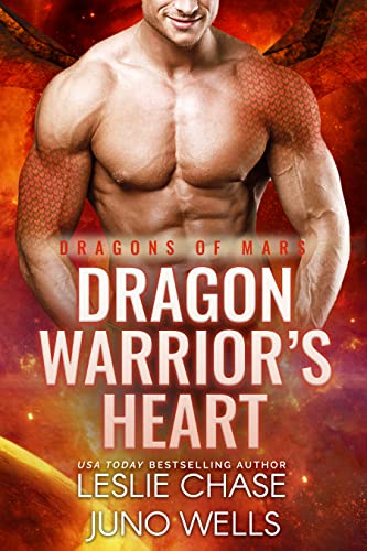 Dragon Warrior's Heart book cover