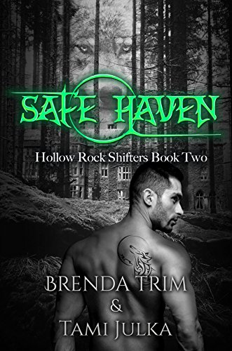 Safe Haven book cover