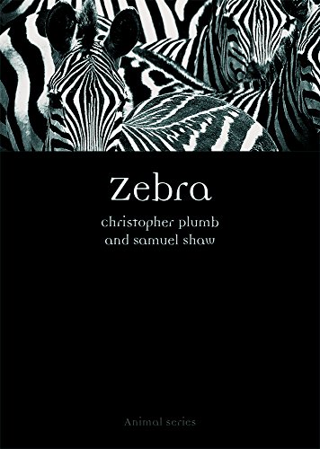 Zebra book cover