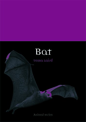 Bat book cover