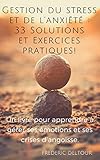 Gestion Du Stress Et De Lanxit 33 Solutions Et Exercices Pratiques Un Livre Pour Apprendre Grer Ses Motions Et Ses Crises Dangoisse Gestion Des Motions Mdecines Douces T 1